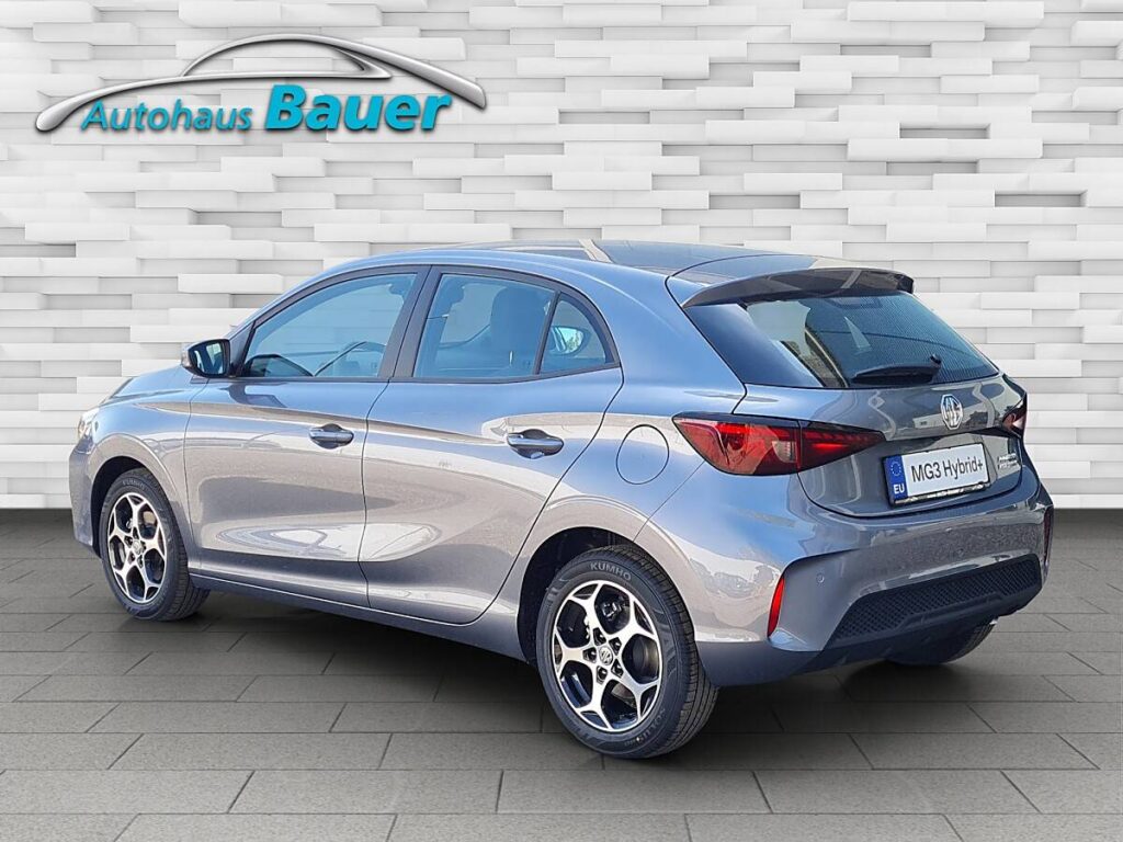 Vehicle 1021273390 - Image 3